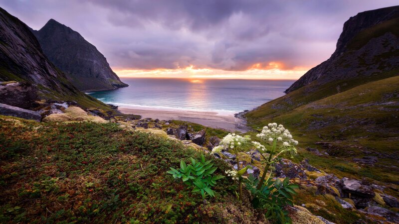 Coastal Valley at Sunset