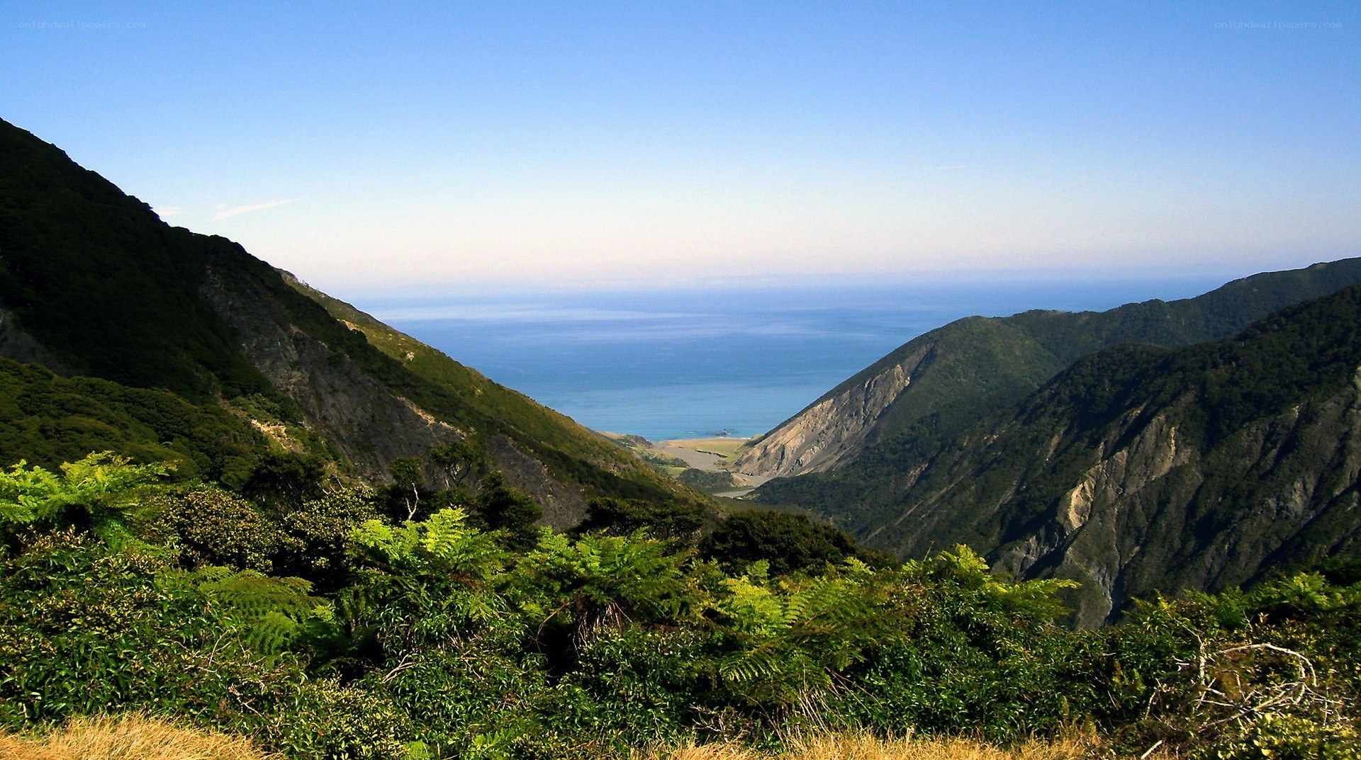 Coastal valley with ocean view
