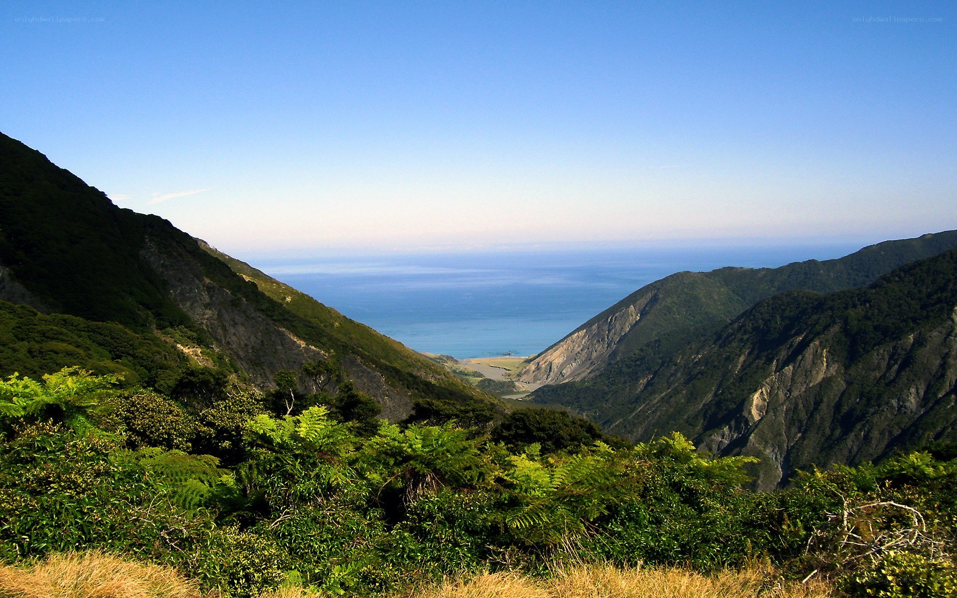 Coastal valley with ocean view