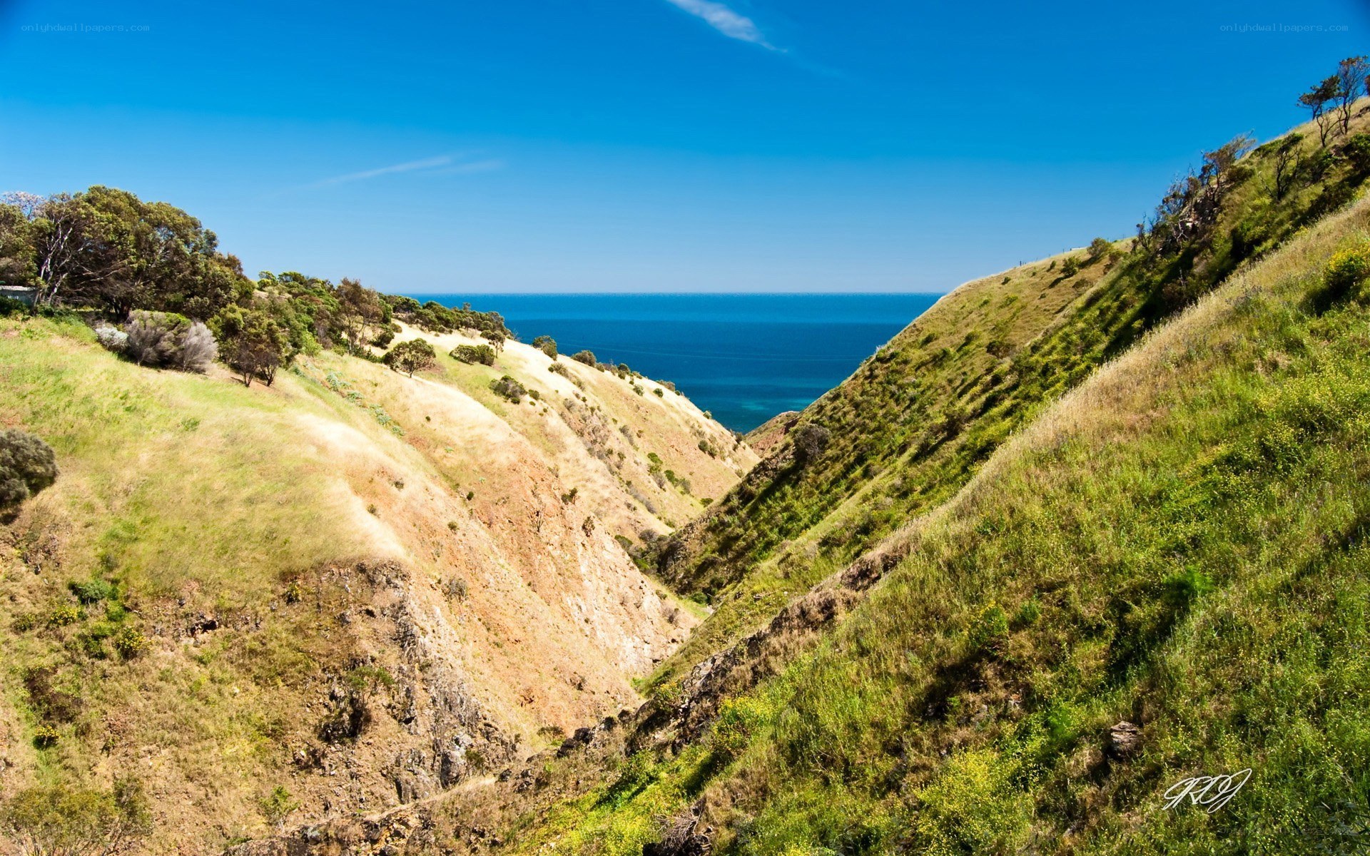Coastal valley with ocean view