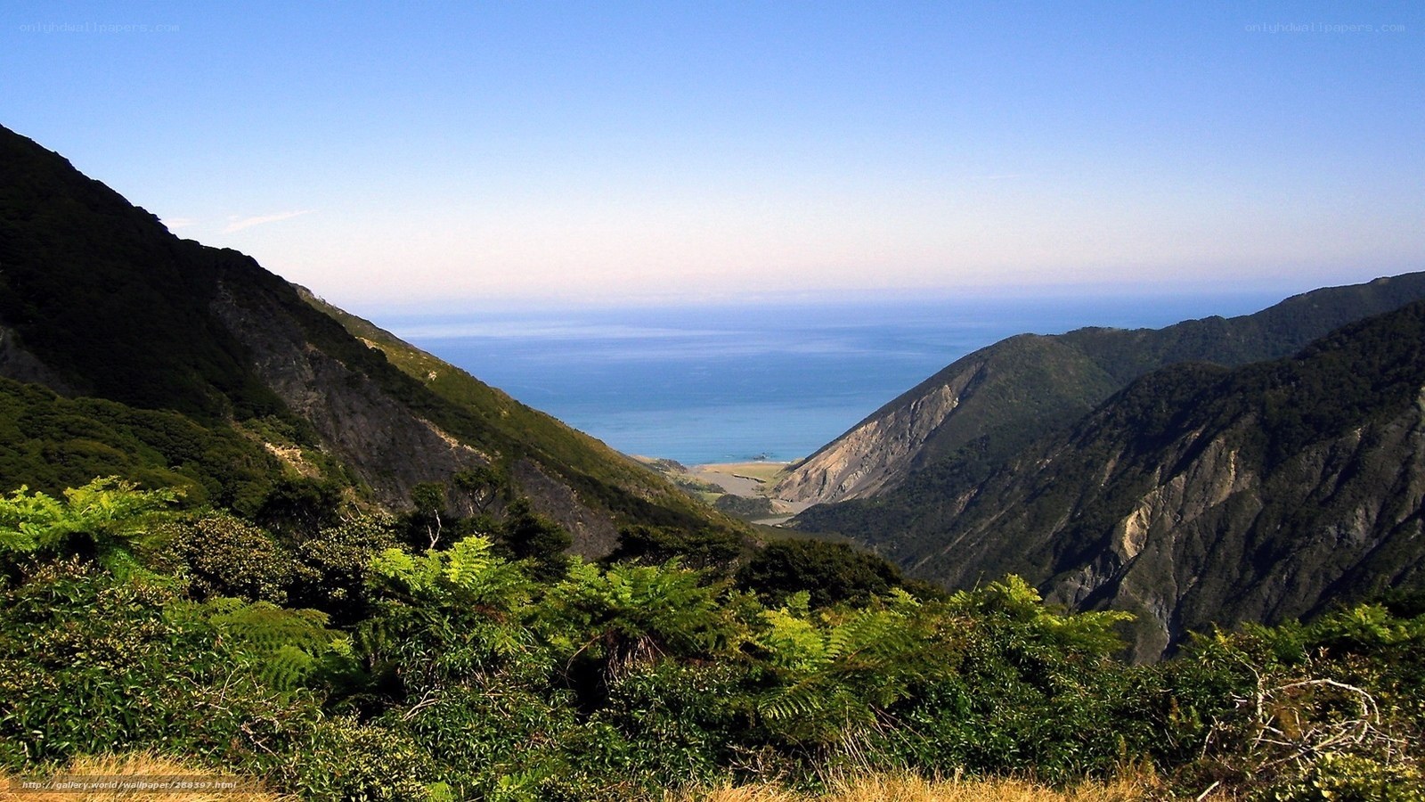 coastal valley with ocean view