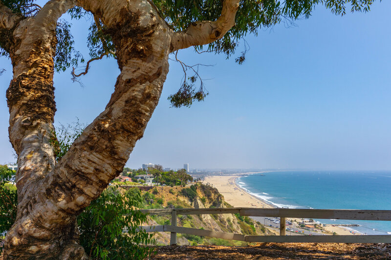 Coastal View from Cliff — Blue