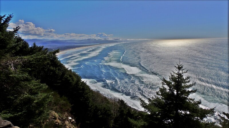 coastal view from forested cliff