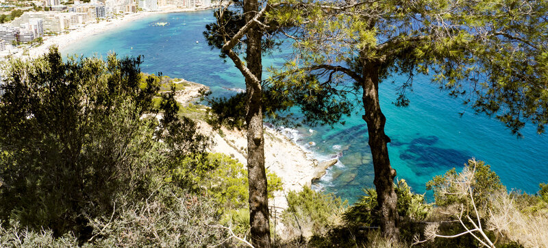 Coastal View from Hill — Blue