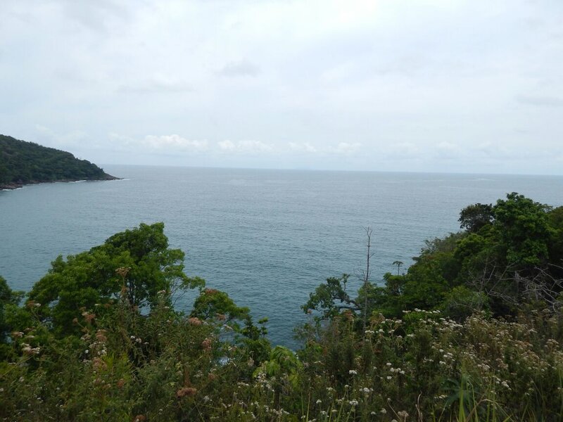 Coastal View from Hill — Green