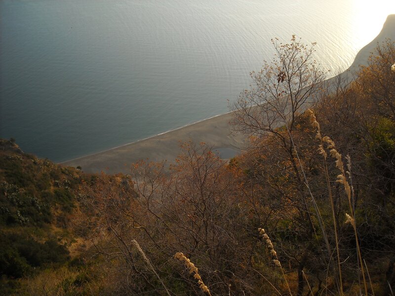 coastal view from hillside
