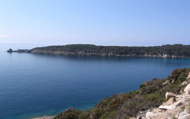 coastal view of a forested island