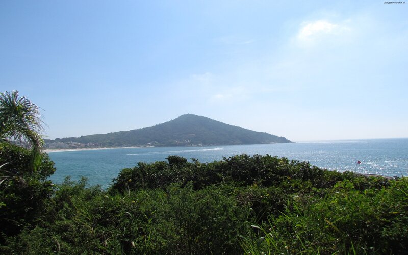 coastal view of a green island
