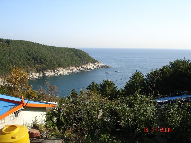 coastal view with boats