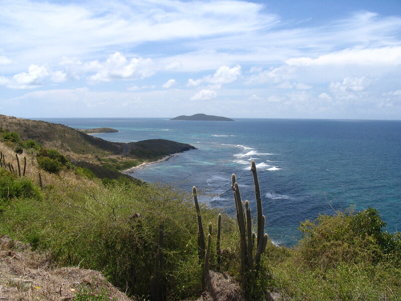coastal view with cacti and island