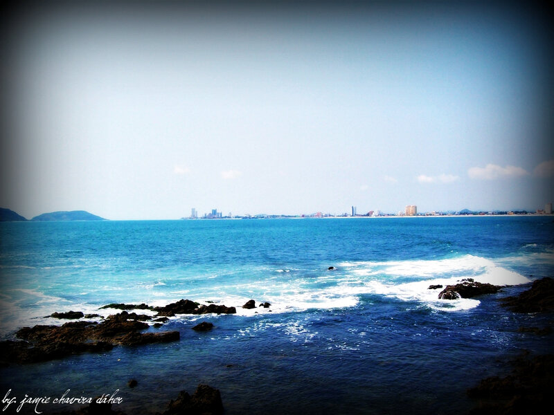 coastal view with city skyline