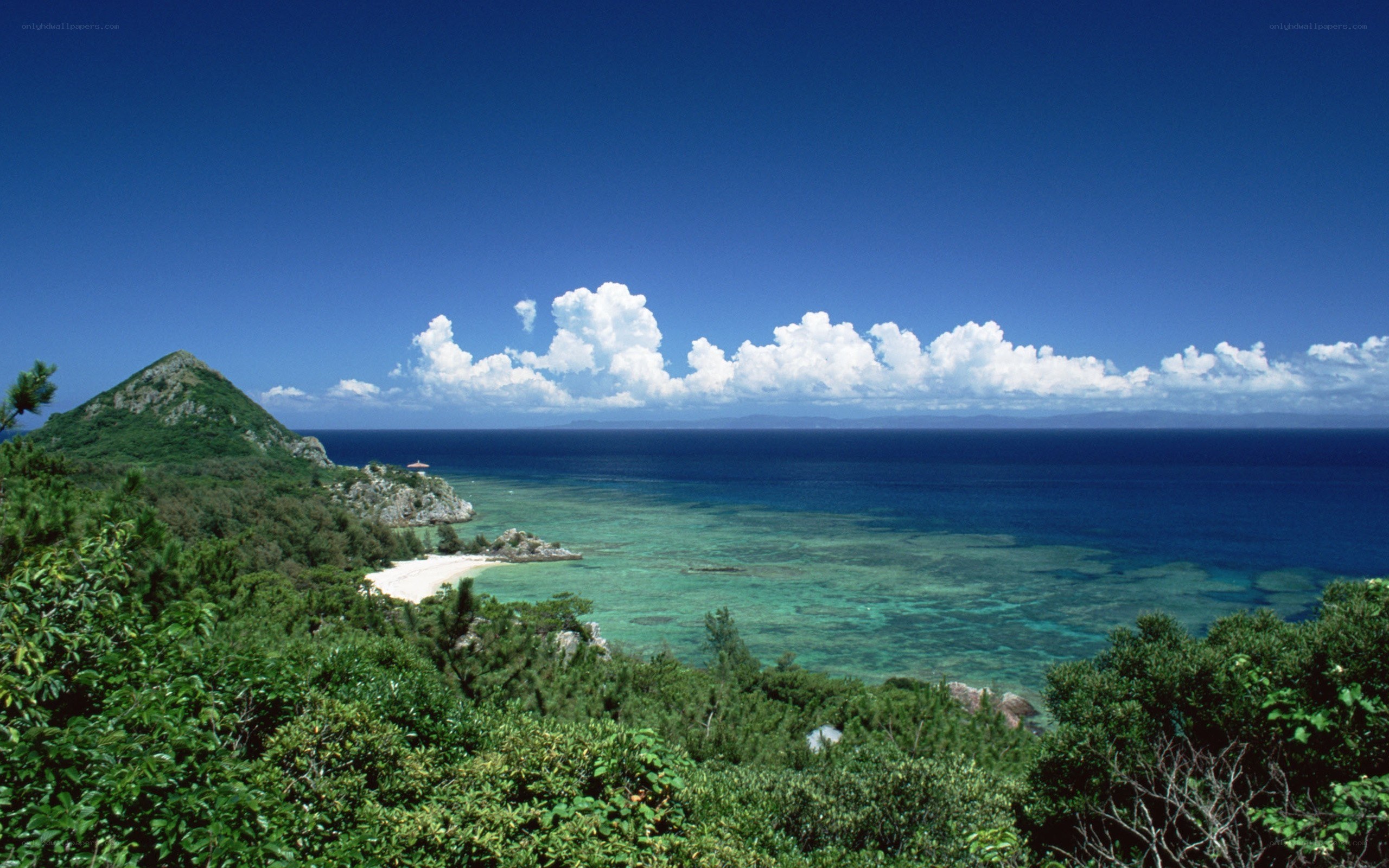 Coastal view with coral reef