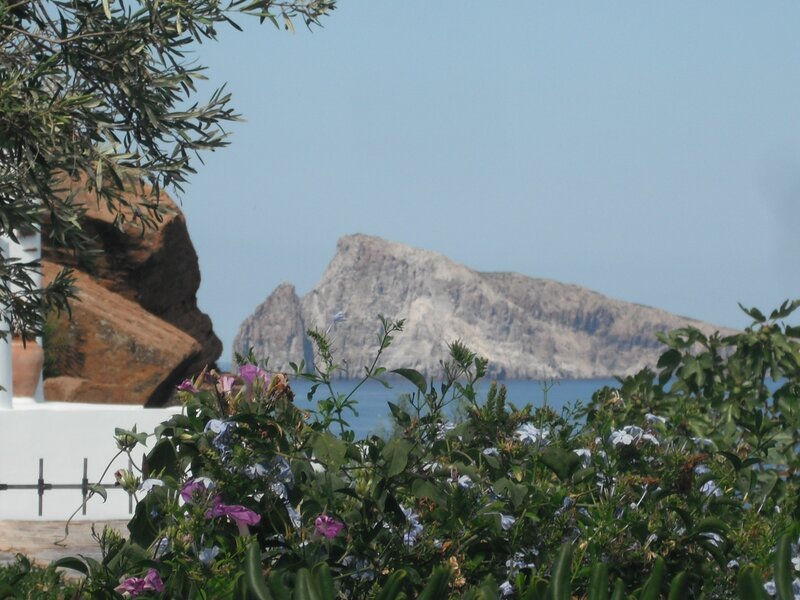 Coastal view with flowers and rocks