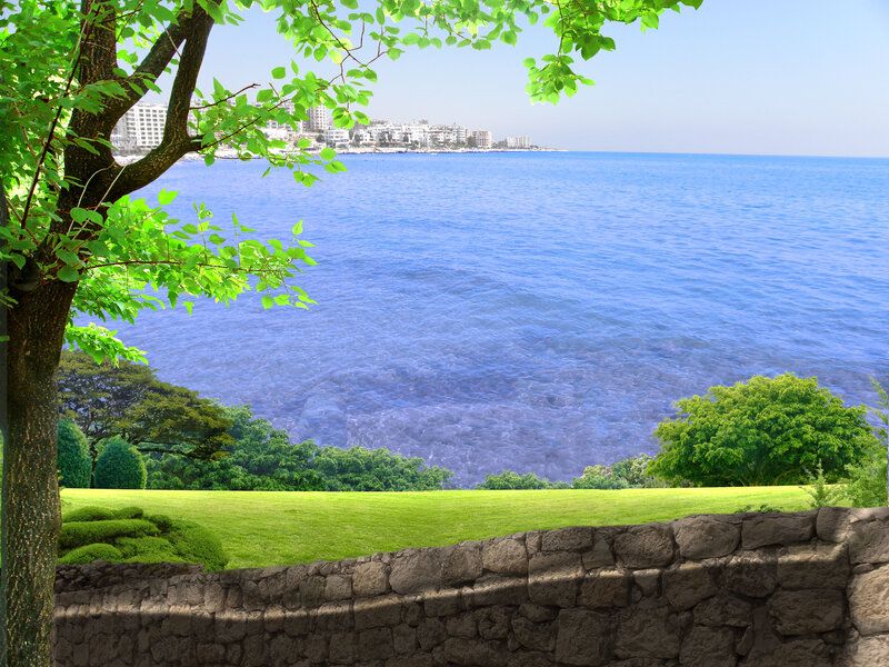 Coastal view with green trees