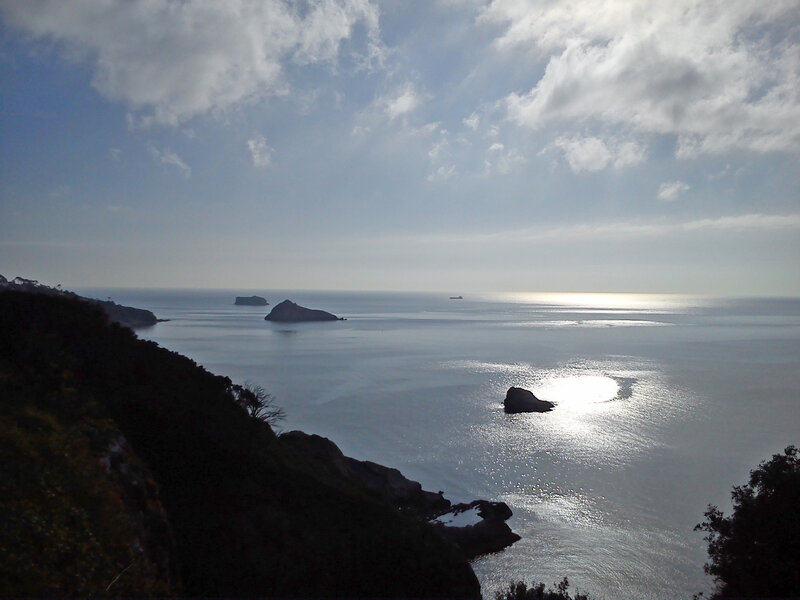 Coastal View with Islands