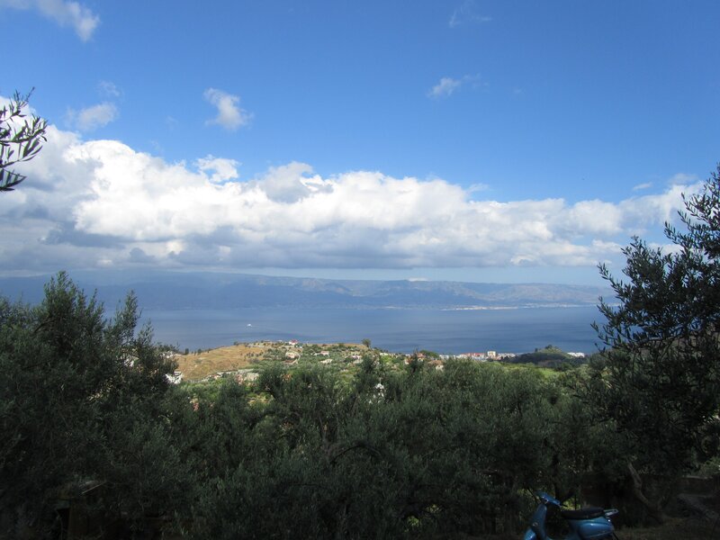 coastal view with olive trees