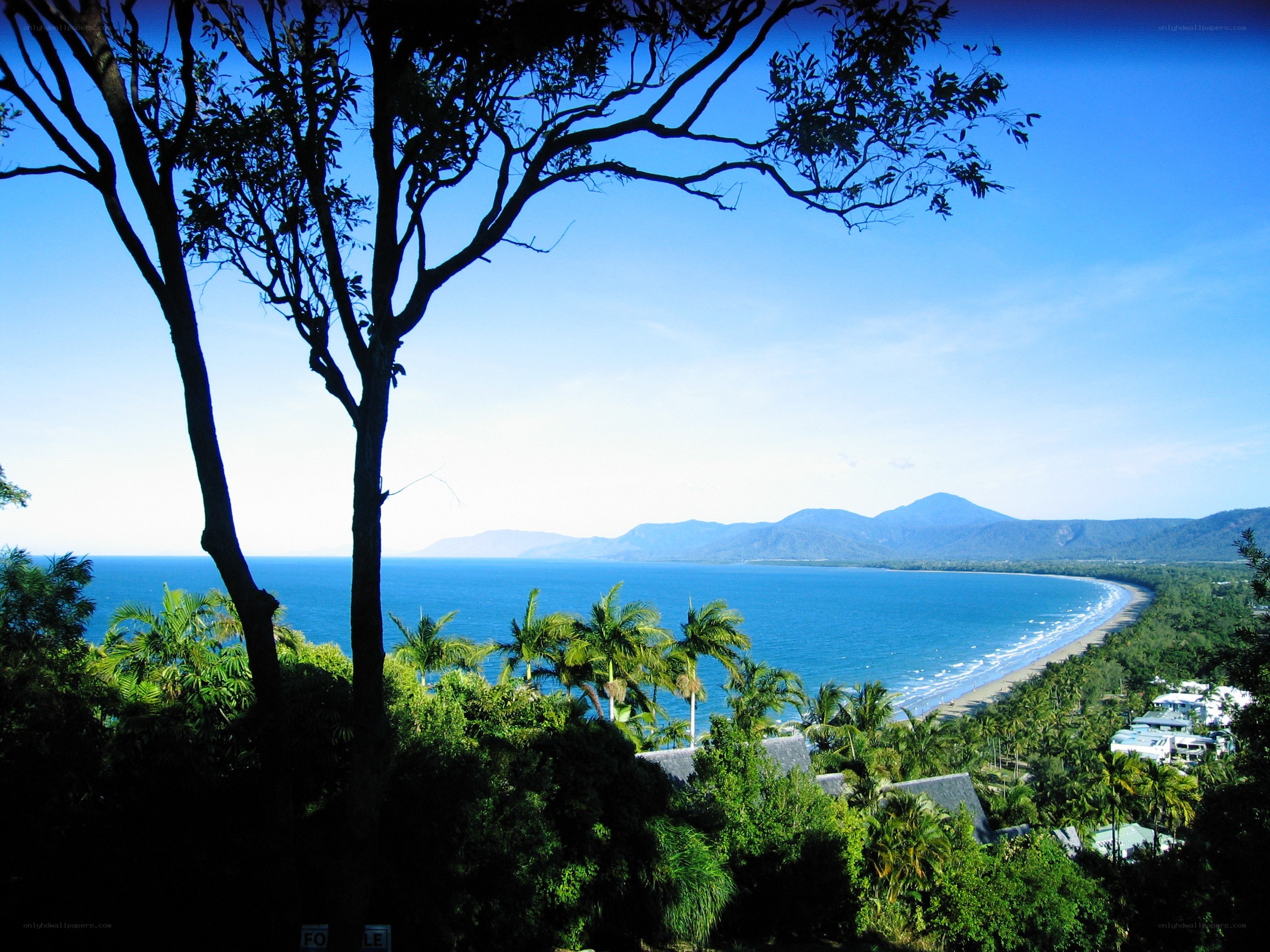 coastal view with palm trees