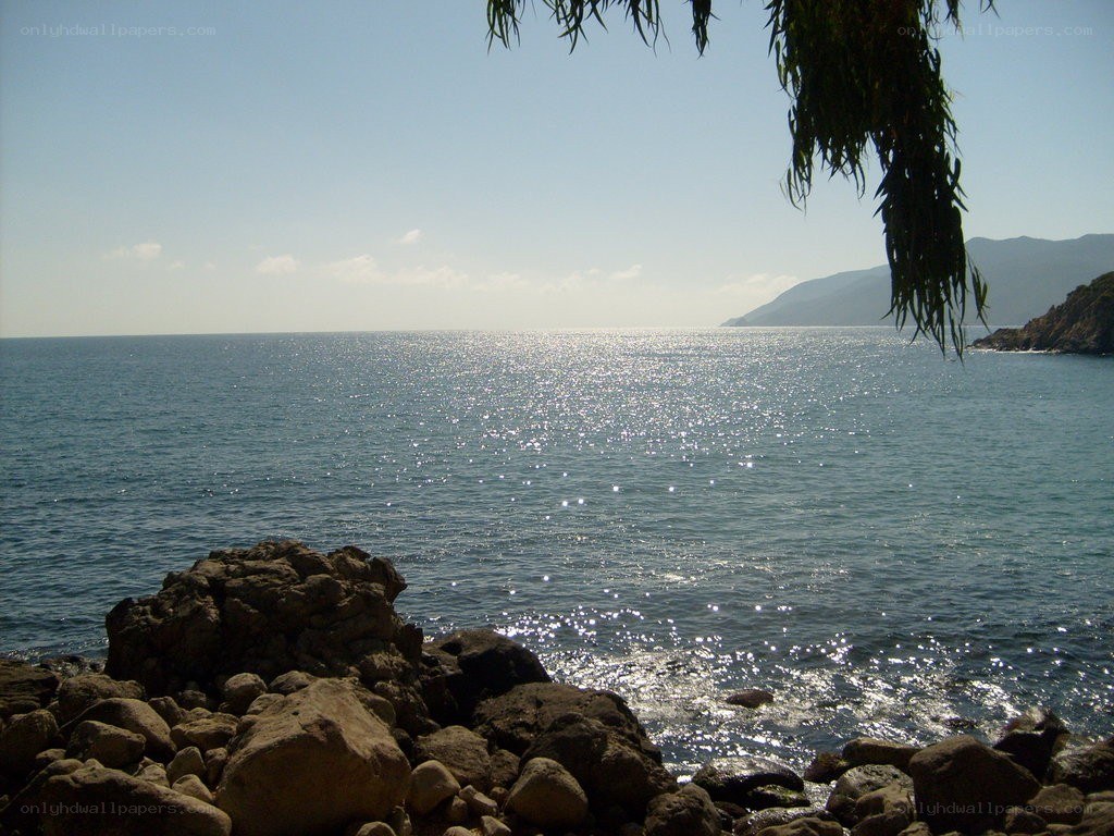 coastal view with rocky shore