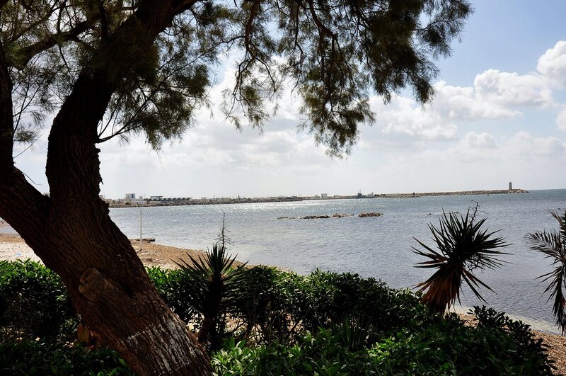 Coastal view with tree and lighthouse