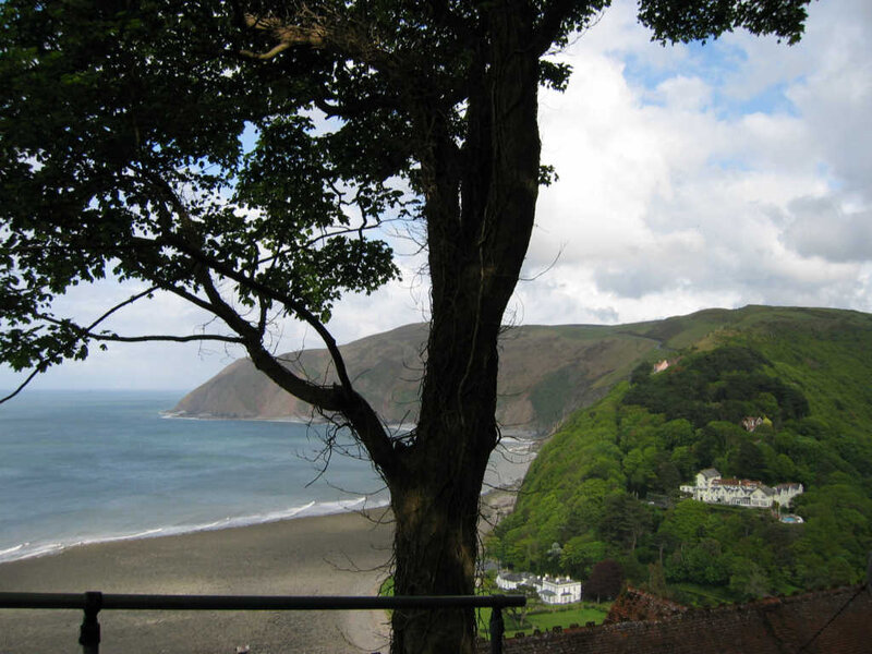 coastal view with tree