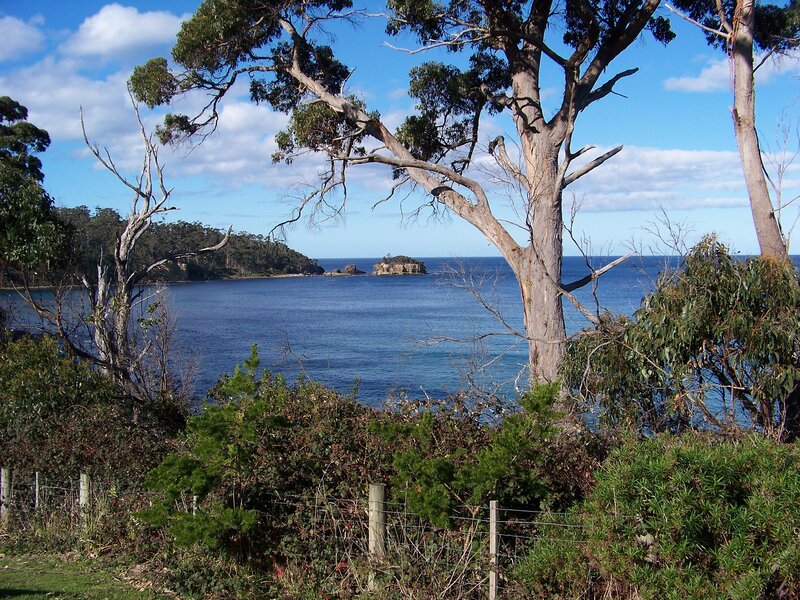 Coastal view with trees and rocks