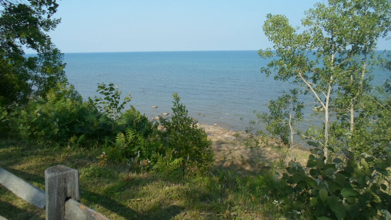 Coastal View with Trees