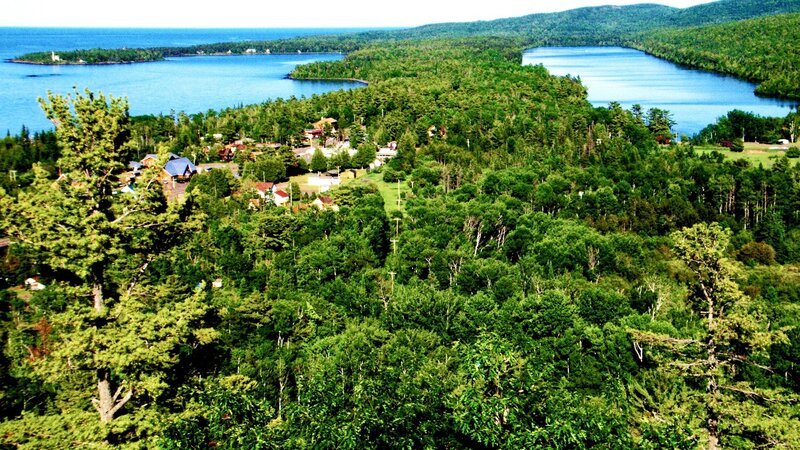Coastal village nestled in forest