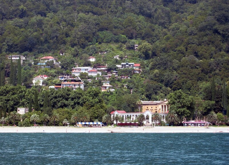 Coastal village on a forested hill