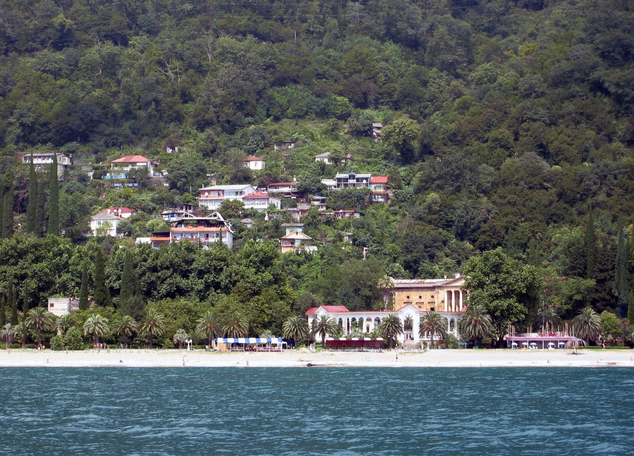 Coastal village on a forested hill