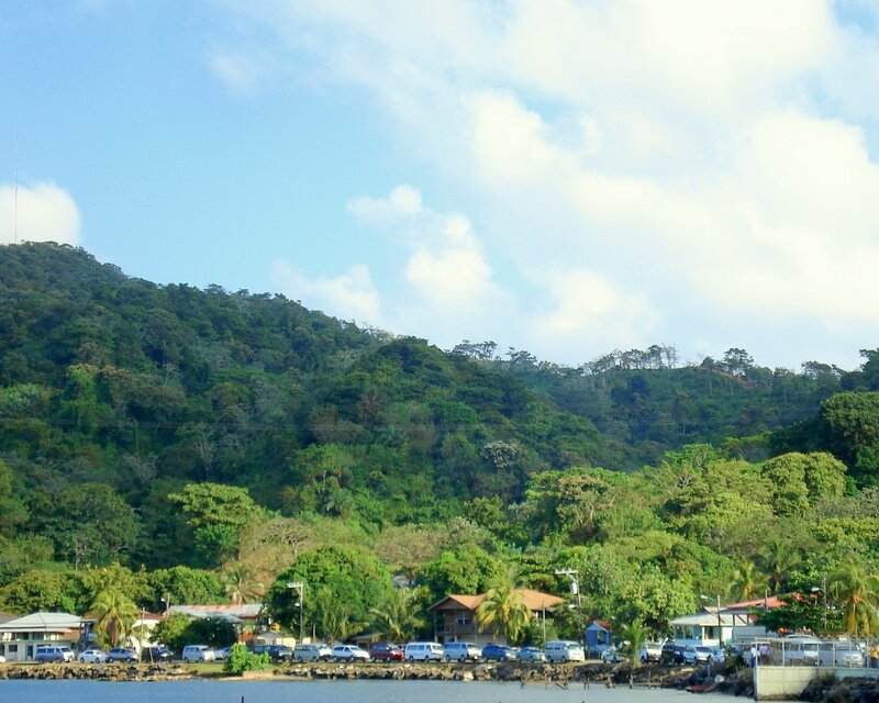 Coastal village with lush hills