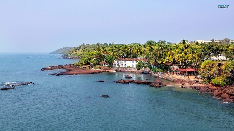 Coastal Village with Palm Trees — Blue, Serene, Afternoon, Photograph