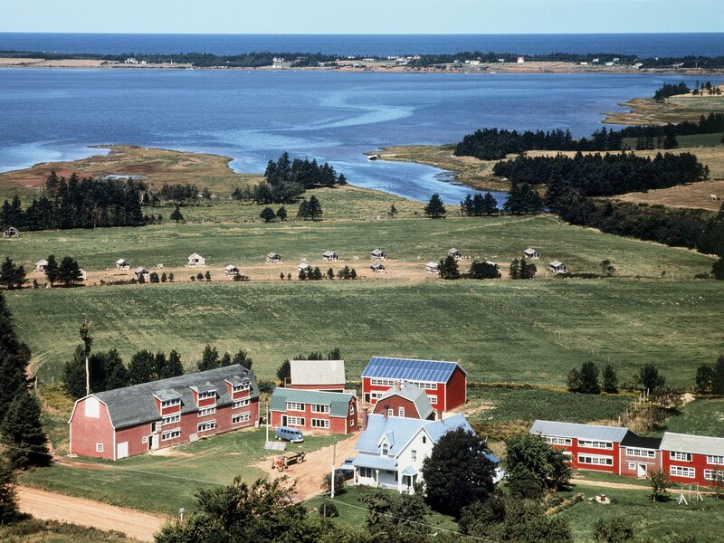 Coastal village with red buildings