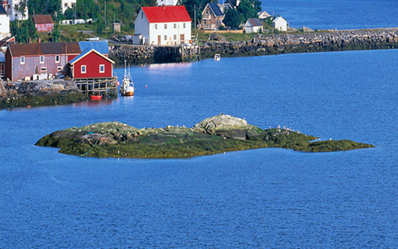 Coastal village with red houses
