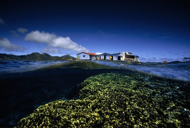 Coastal village with underwater view