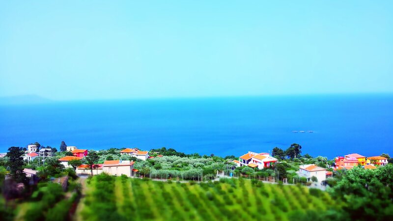 Coastal Village with Vineyards — Blue