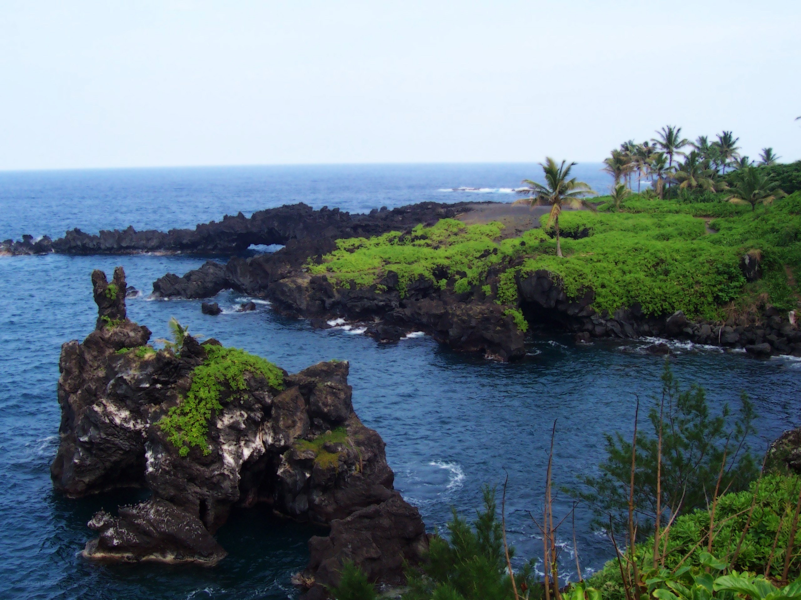 coastal volcanic rock formations