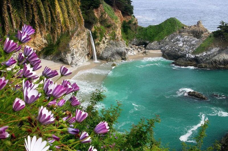 Coastal Waterfall and Cove