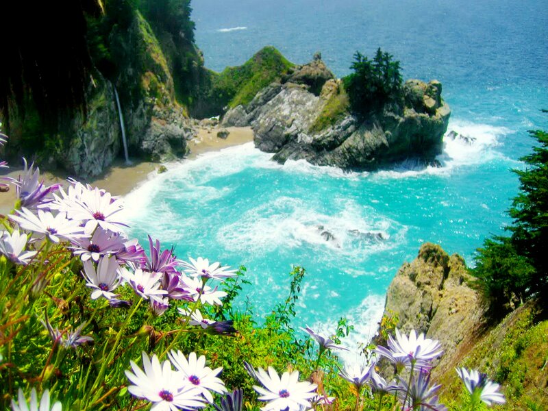 Coastal Waterfall and Flowers — Blue
