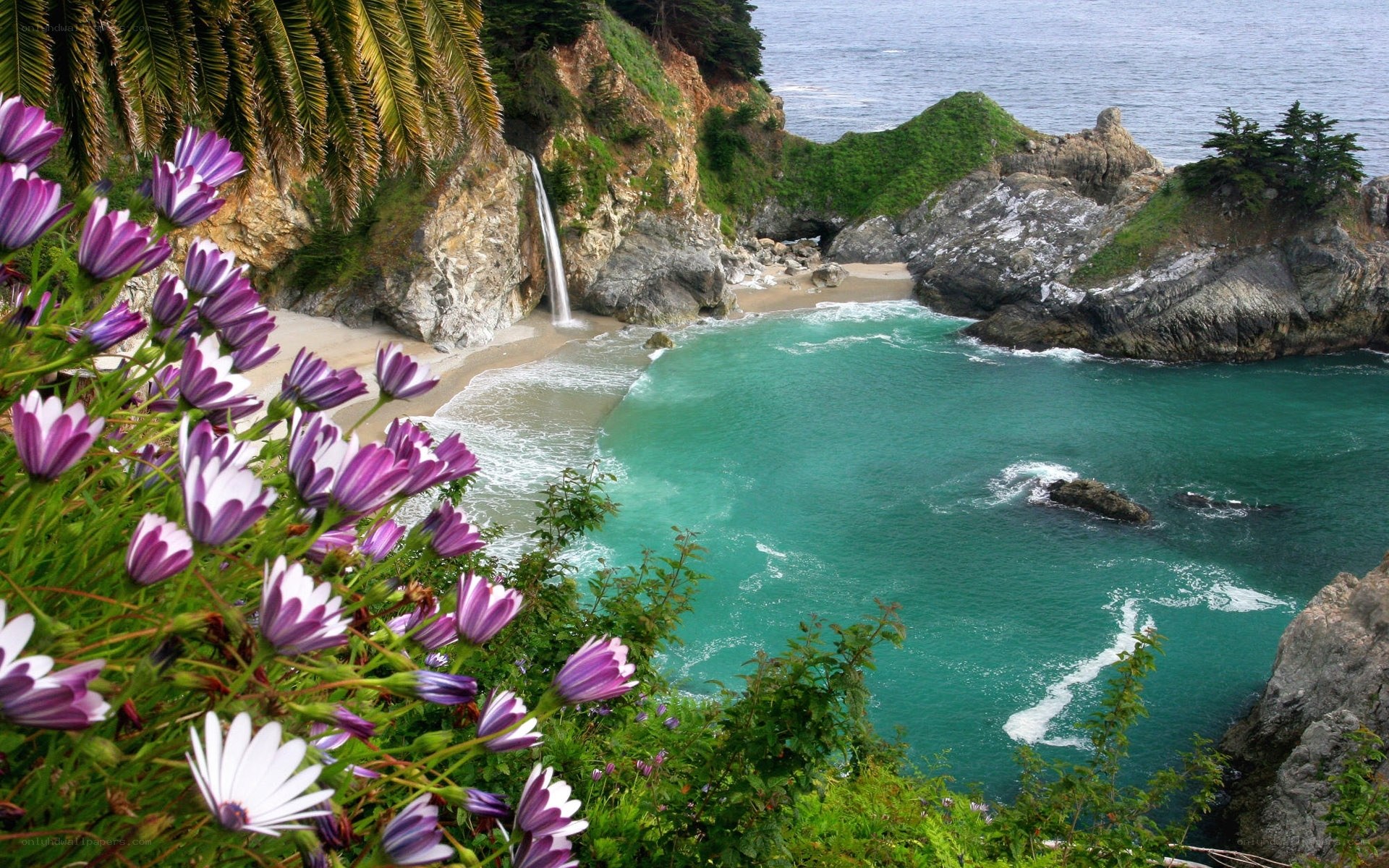 coastal waterfall and flowers