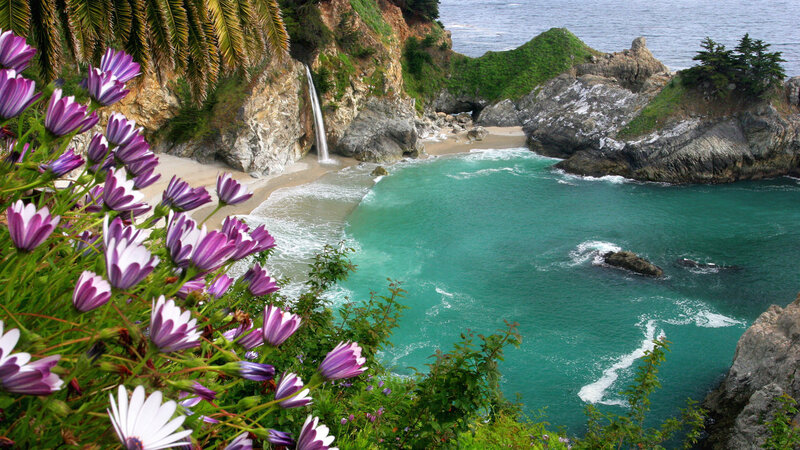 Coastal Waterfall Cove — Green, Serene