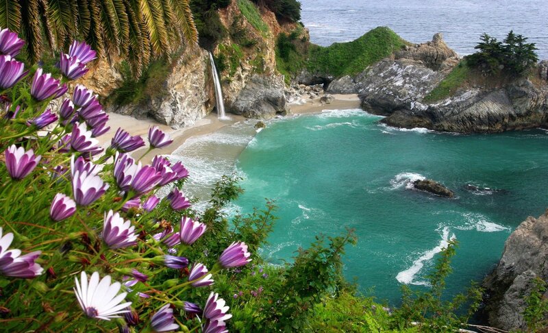Coastal Waterfall Cove — Green