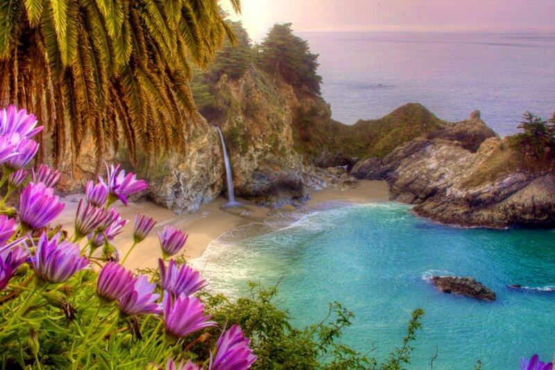 Coastal Waterfall Cove — Purple