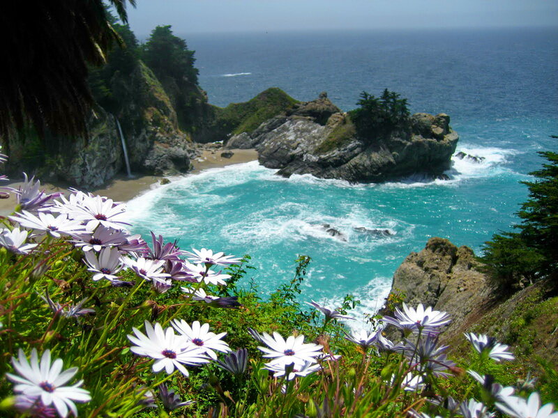 Coastal Waterfall with Flowers — Blue