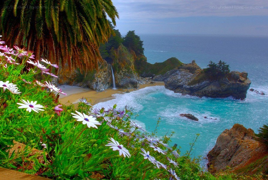 coastal waterfall with flowers