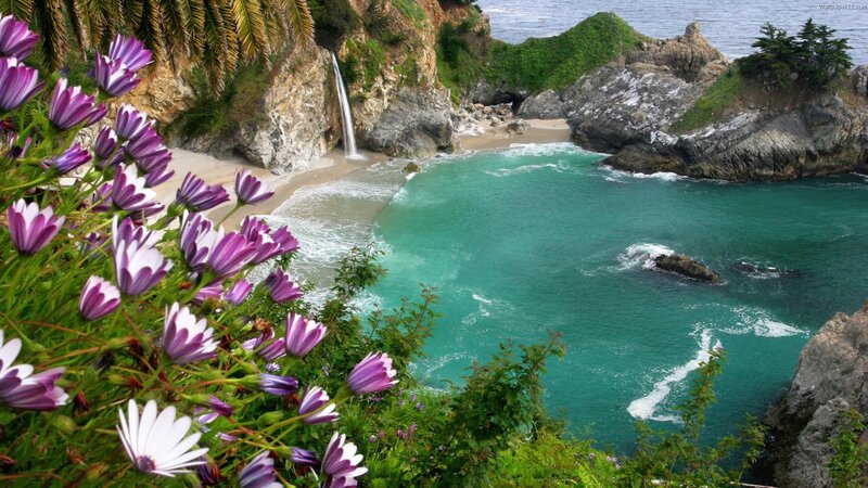 coastal waterfall with purple flowers