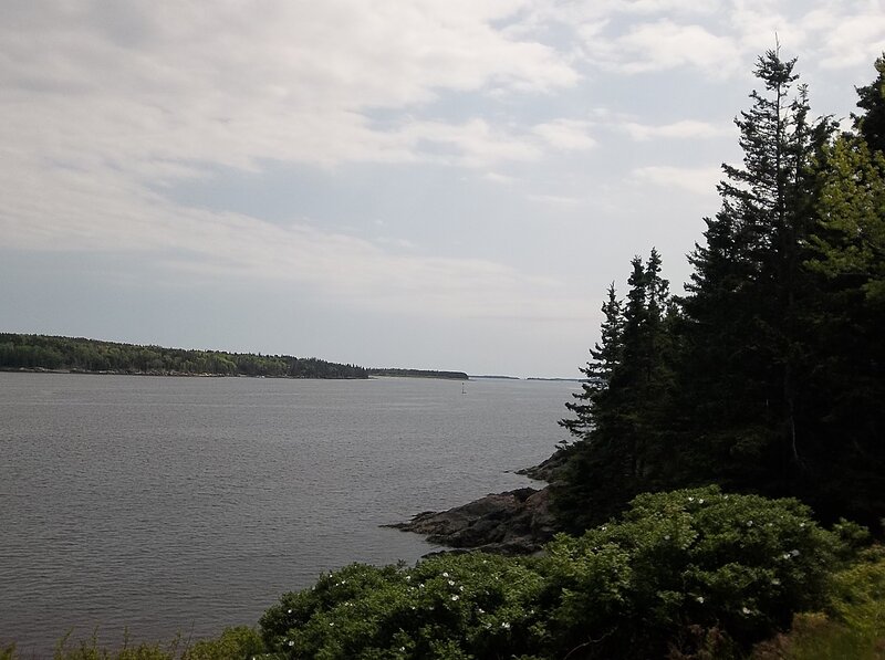 Coastal Waterway with Trees
