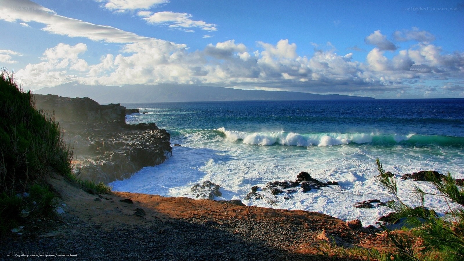 coastal waves crashing on rocks