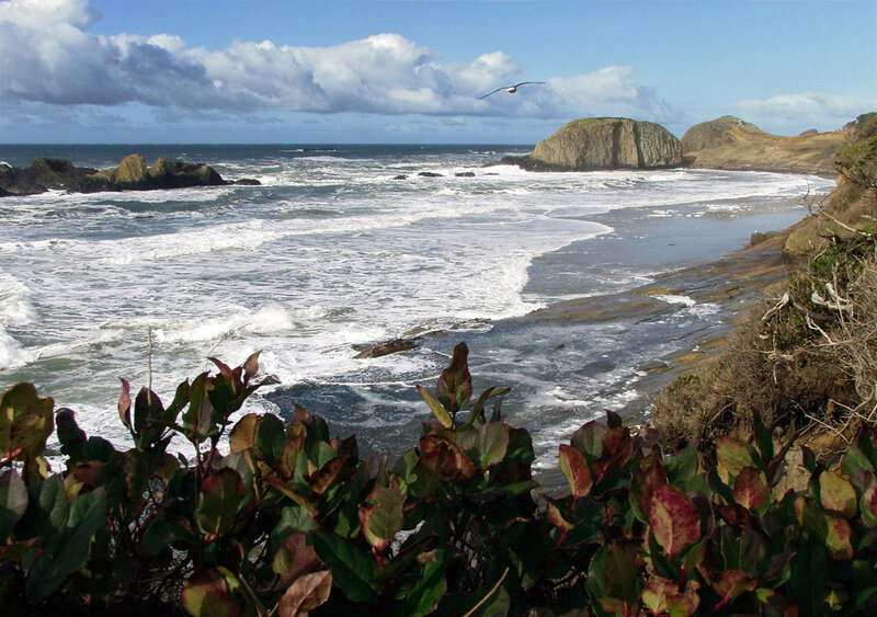 Coastal Waves Crashing