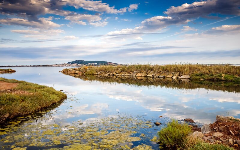 Coastal wetland with calm water