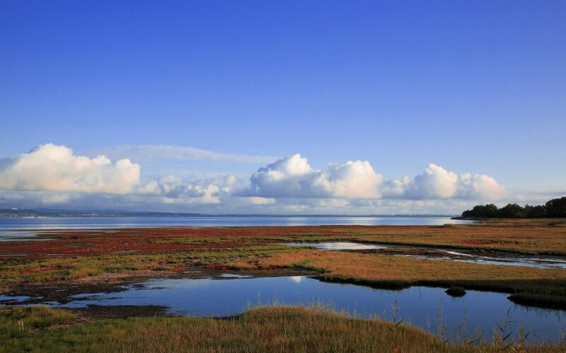 Coastal wetlands under blue sky